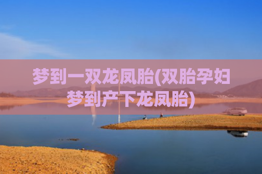 梦到一双龙凤胎(双胎孕妇梦到产下龙凤胎) 梦到一双龙凤胎(双胎孕妇梦到产下龙凤胎)