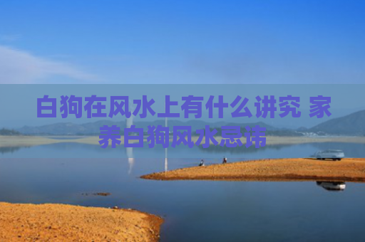 白狗在风水上有什么讲究 家养白狗风水忌讳