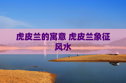 虎皮兰的寓意 虎皮兰象征风水