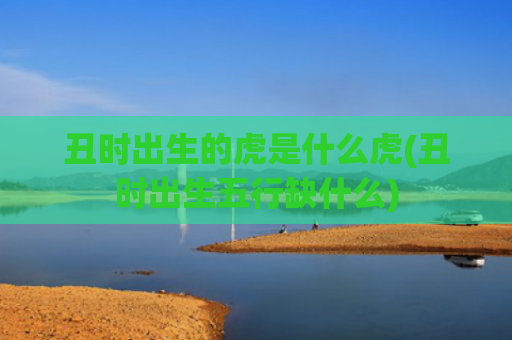 丑时出生的虎是什么虎(丑时出生五行缺什么)