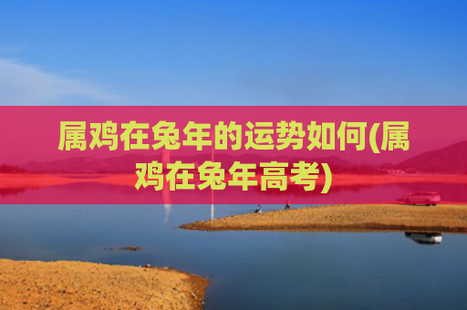 属鸡在兔年的运势如何(属鸡在兔年高考)