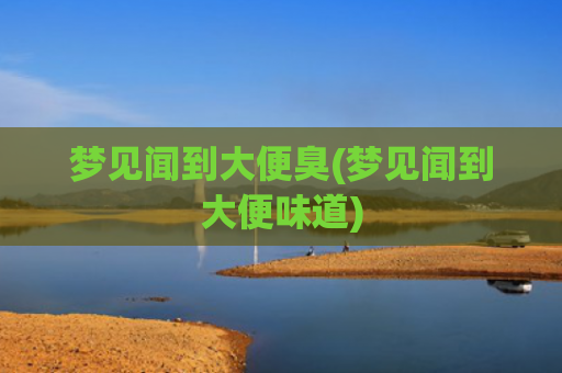 梦见闻到大便臭(梦见闻到大便味道)