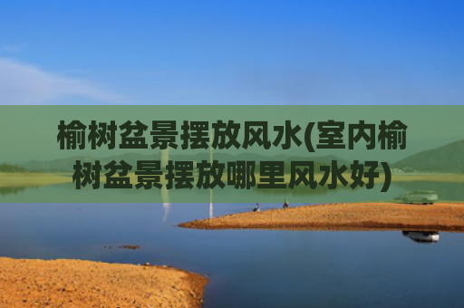 榆树盆景摆放风水(室内榆树盆景摆放哪里风水好)