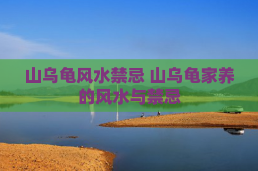 山乌龟风水禁忌 山乌龟家养的风水与禁忌