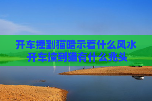 开车撞到猫暗示着什么风水 开车撞到猫有什么兆头