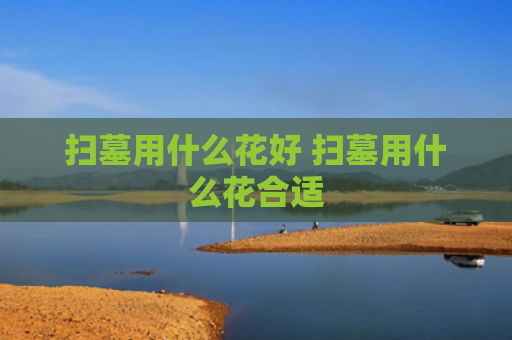 扫墓用什么花好 扫墓用什么花合适