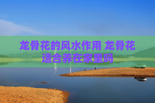 龙骨花的风水作用 龙骨花适合养在家里吗