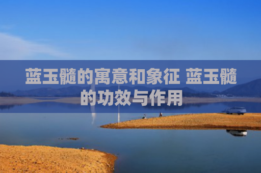 蓝玉髓的寓意和象征 蓝玉髓的功效与作用