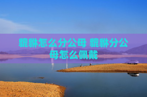 貔貅怎么分公母 貔貅分公母怎么佩戴