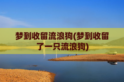 梦到收留流浪狗(梦到收留了一只流浪狗)