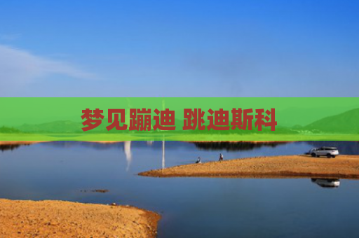 梦见蹦迪 跳迪斯科