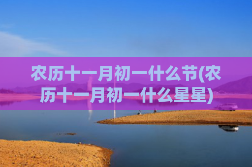 农历十一月初一什么节(农历十一月初一什么星星)