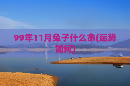 99年11月兔子什么命(运势如何)