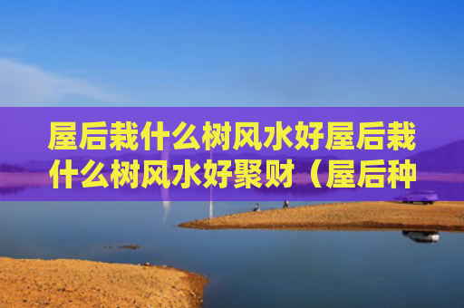 屋后栽什么树风水好屋后栽什么树风水好聚财（屋后种什么树最旺风水?福气要靠自己种）