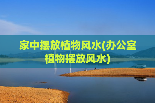 家中摆放植物风水(办公室植物摆放风水)