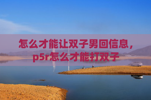 怎么才能让双子男回信息，p5r怎么才能打双子