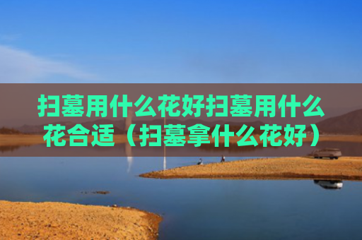 扫墓用什么花好扫墓用什么花合适（扫墓拿什么花好）