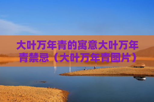 大叶万年青的寓意大叶万年青禁忌（大叶万年青图片）