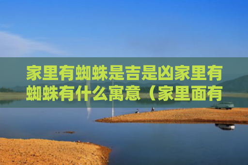 家里有蜘蛛是吉是凶家里有蜘蛛有什么寓意（家里面有蜘蛛是好事还是坏事）