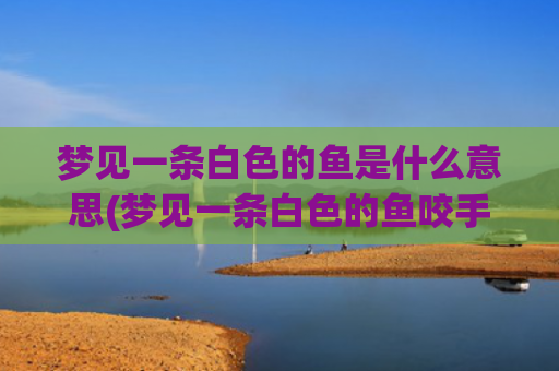 梦见一条白色的鱼是什么意思(梦见一条白色的鱼咬手指头)