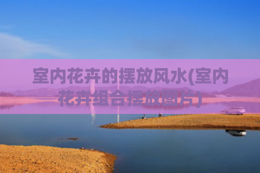 室内花卉的摆放风水(室内花卉组合摆放图片)