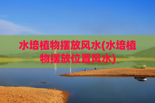 水培植物摆放风水(水培植物摆放位置风水)