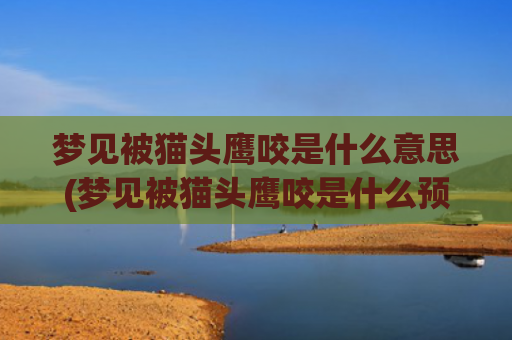 梦见被猫头鹰咬是什么意思(梦见被猫头鹰咬是什么预兆)