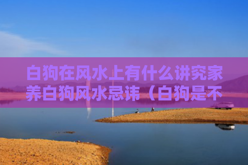 白狗在风水上有什么讲究家养白狗风水忌讳（白狗是不是镇宅的）