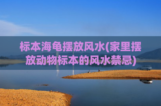 标本海龟摆放风水(家里摆放动物标本的风水禁忌)