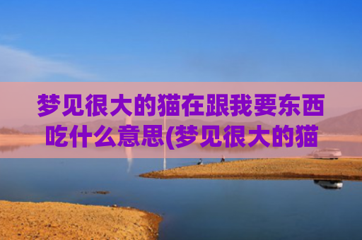 梦见很大的猫在跟我要东西吃什么意思(梦见很大的猫是什么意思)