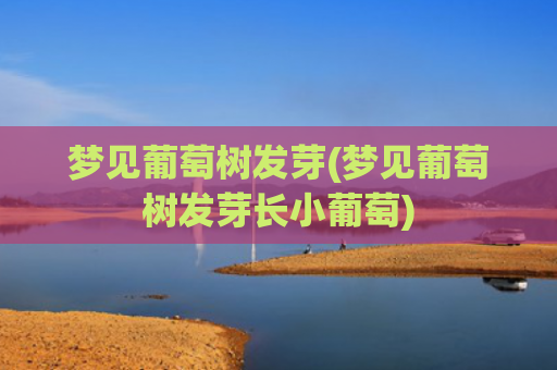 梦见葡萄树发芽(梦见葡萄树发芽长小葡萄)