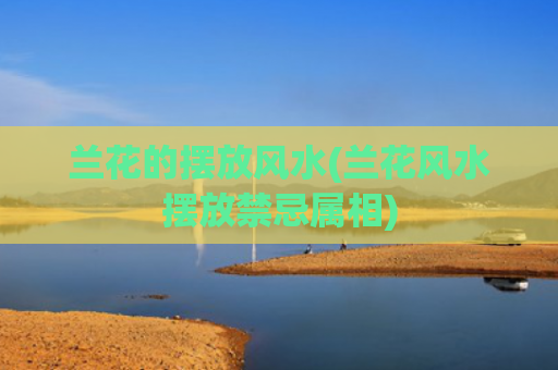 兰花的摆放风水(兰花风水摆放禁忌属相)