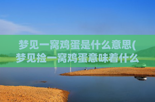 梦见一窝鸡蛋是什么意思(梦见捡一窝鸡蛋意味着什么)
