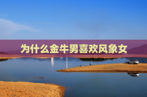 为什么金牛男喜欢风象女