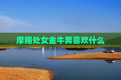 摩羯处女金牛男喜欢什么