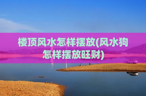 楼顶风水怎样摆放(风水狗怎样摆放旺财)
