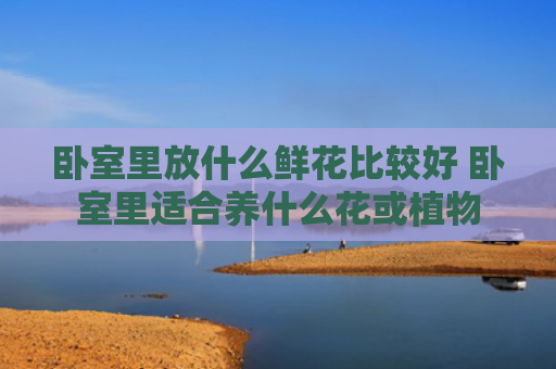 卧室里放什么鲜花比较好 卧室里适合养什么花或植物