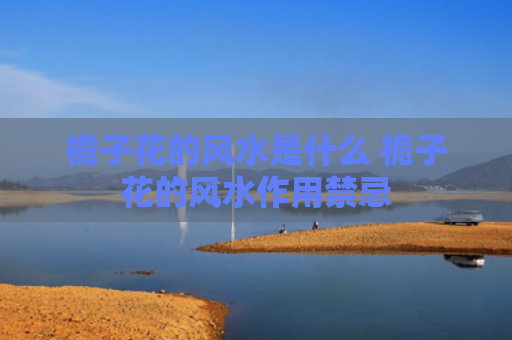 桅子花的风水是什么 桅子花的风水作用禁忌