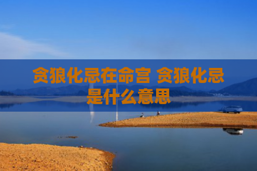 贪狼化忌在命宫 贪狼化忌是什么意思