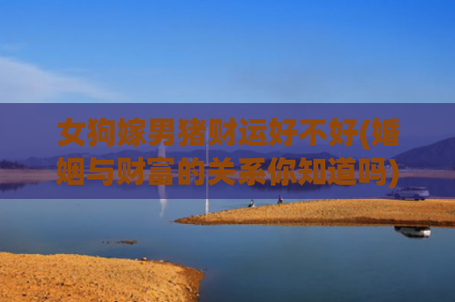 女狗嫁男猪财运好不好(婚姻与财富的关系你知道吗)