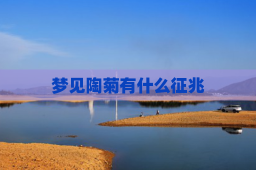 梦见陶菊有什么征兆