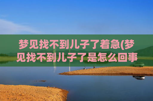 梦见找不到儿子了着急(梦见找不到儿子了是怎么回事呢)
