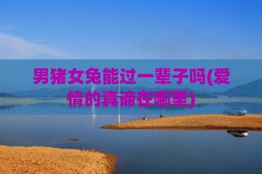 男猪女兔能过一辈子吗(爱情的真谛在哪里)